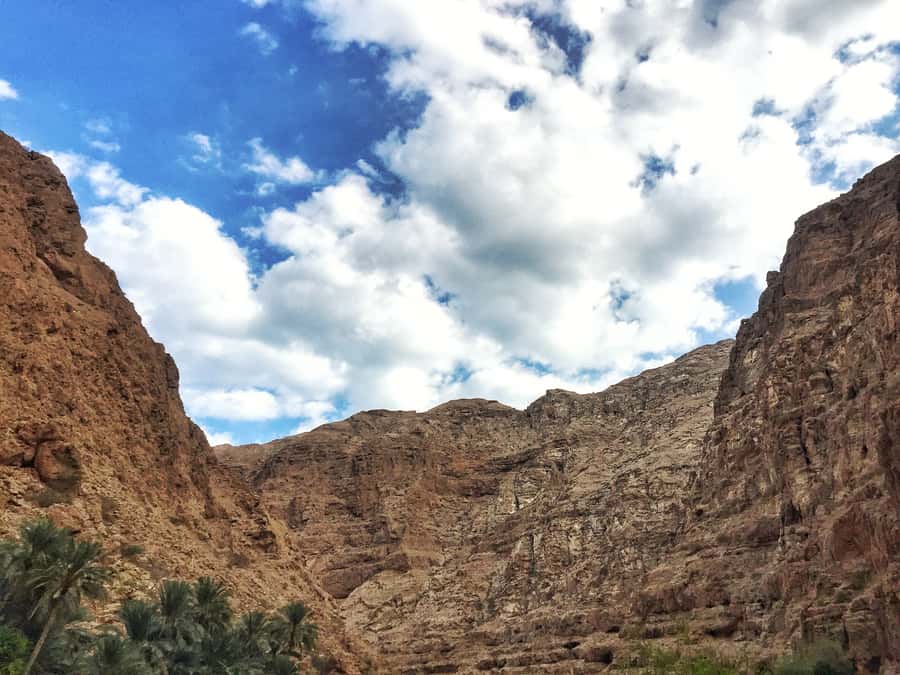 2-Day Oman Adventure: Wadi Shab, Turtles & Desert - Day 2 brings a calmer swim at Wadi Bani Khalid