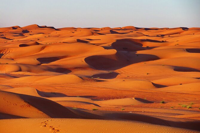 2 Day Private Trip to Two Oasis with Overnight Desert Camping - Wadi Shab brings the active part of day one