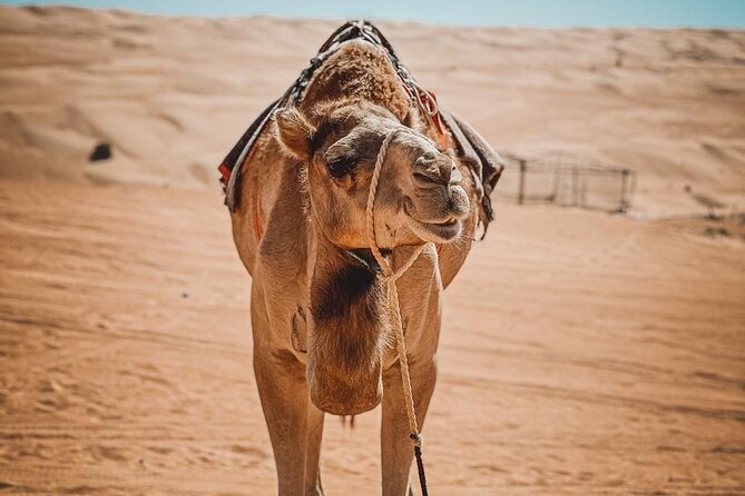 2-Day Private Wahiba Sands Desert Camping Tour from Muscat - Day 2 begins with a Bedouin house visit