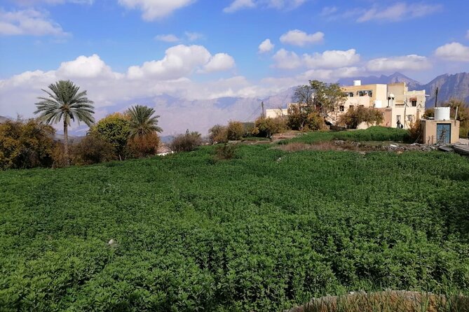 2 Days 1 Night Wakan Private Tour - Al Rustaq Fort and the old capital