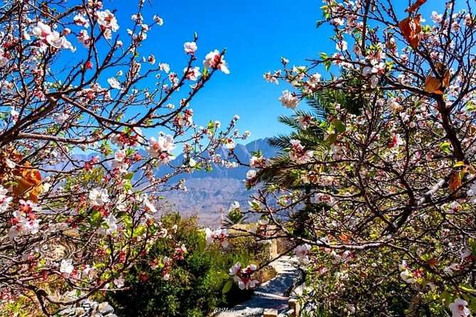 2 Days 1 Nights Private Trip to Wakan - Nakhal Fort and the Date Palm Plain