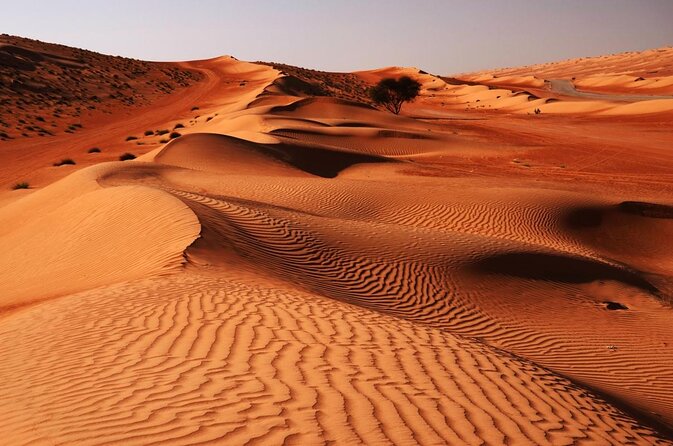 2 Days and 1 Night Private Wahiba Sands Desert Tour - The Best Parts of This Oman Desert Tour