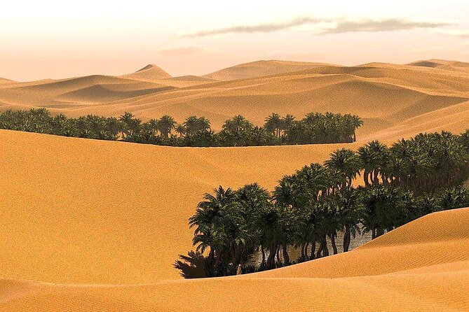 2 Days and 1 Night Private Wahiba Sands Desert Tour - What Is Included for $499?