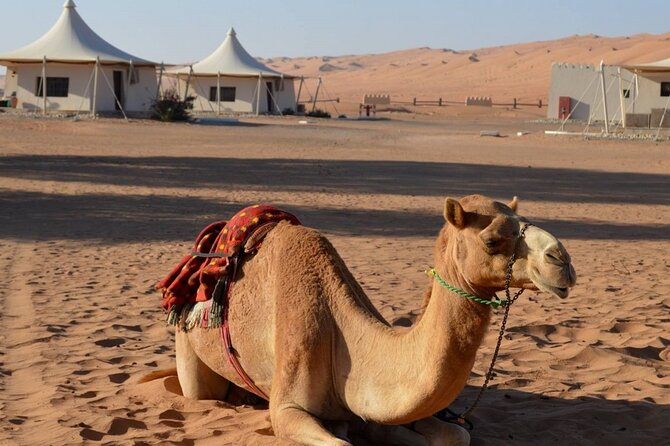 2 Days Desert Adventure Package - Why this private Oman route works