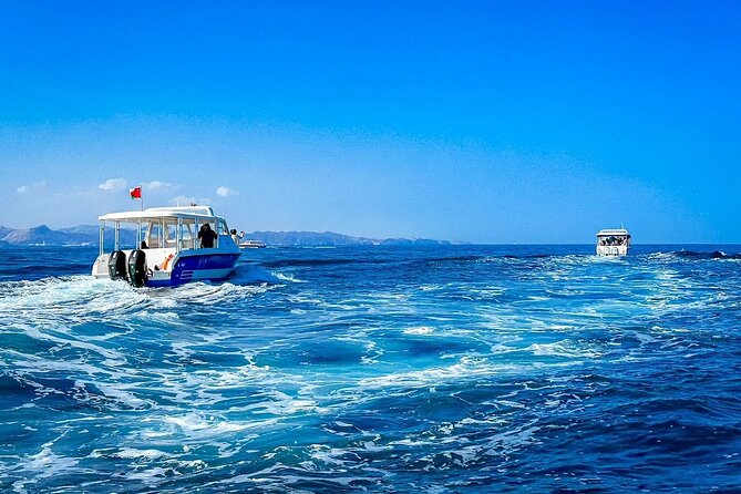 2 Hour Dolphin Watching Experience in Muscat - Setting out from Muscat at 10:00 am