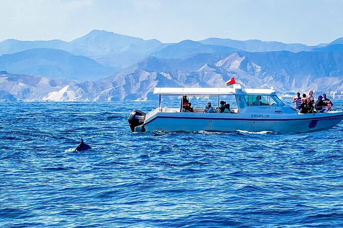 2 Hour Dolphin Watching Experience in Muscat - What the two hours feel like