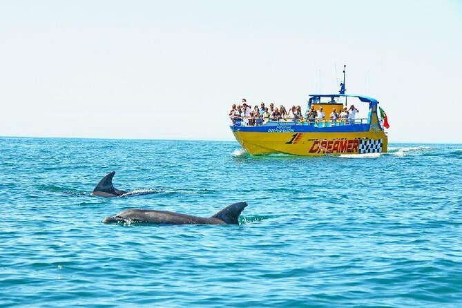 2 Hour Dolphin Watching Experience in Muscat - Searching Muscat’s coastal waters