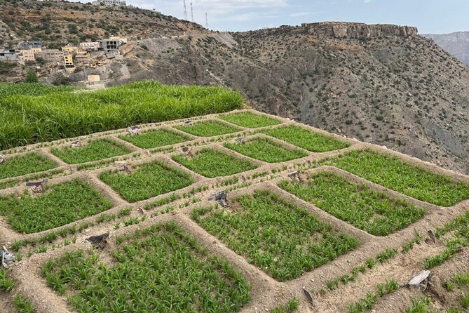 20 Days Oman Package with Salalah and Khasab Tour - Salalah’s frankincense country feels like another Oman