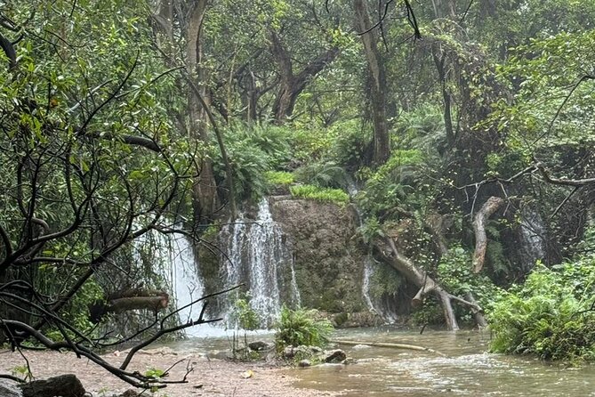 20 Days Oman Package with Salalah and Khasab Tour - Forts, hot springs, and mountain villages