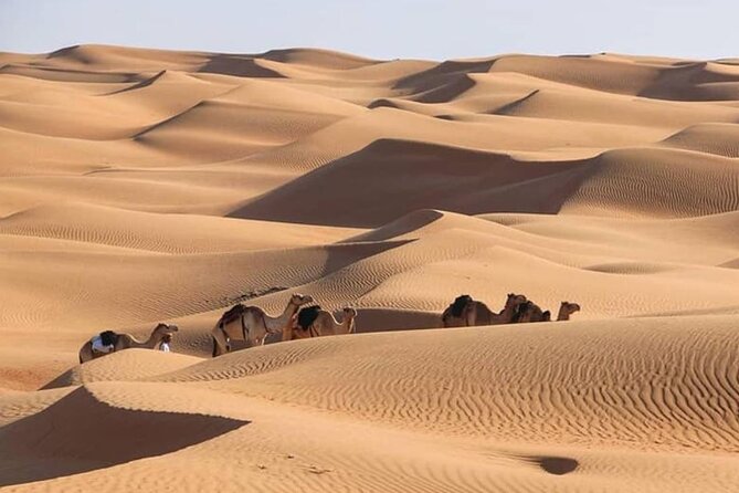 3-Days Private Tour in Oman with Pick Up - Zukait’s Bronze Age tombs on day three
