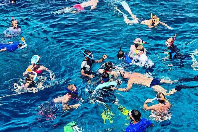 3 Hour Snorkeling and Dolphin Watching Experience in Muscat - Quick highlights of the Muscat sea trip