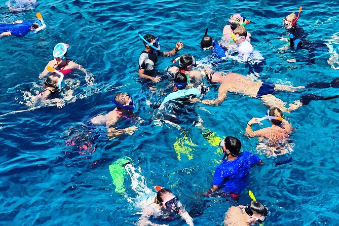 3-Hr Private Snorkeling and Dolphin Watching Tour at Muscat - Finishing at a quiet beach