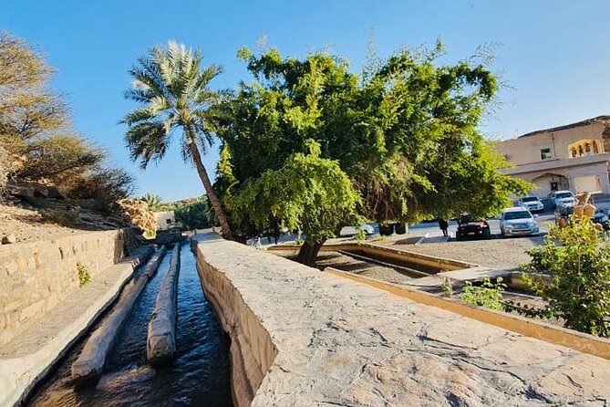 4 Days 3 Nights Package Oman Private Tour - Day 4: Nizwa Fort, old villages, and Jebel Shams
