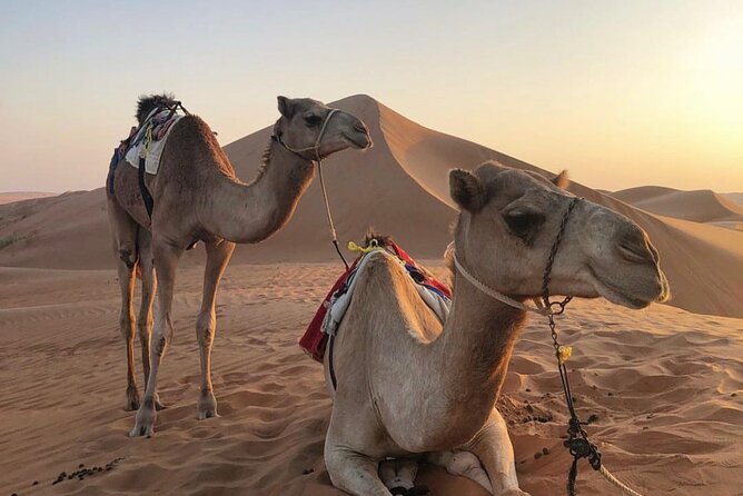 4 Days 3 Nights Package Private Tour in Oman - Who will enjoy this Oman tour most?