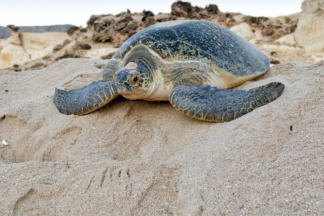 5 Days Jewels Of Oman Package - The guide can make or break this route