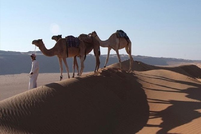 5 Days Package TOUR DINA - Why this five-day Oman route works