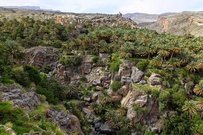5 Days Package TOUR DINA - Day 4: Nizwa Souq, Nizwa Fort, and Oman’s highest mountain