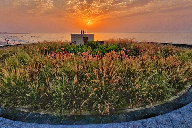 5 Hours Private Tour in Muscat City - Qurum Park: A Flexible Green Pause