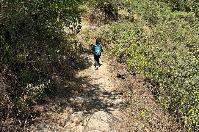 6 Hours Private Hiking in Salalah Mountains - The guide can shape the whole outing