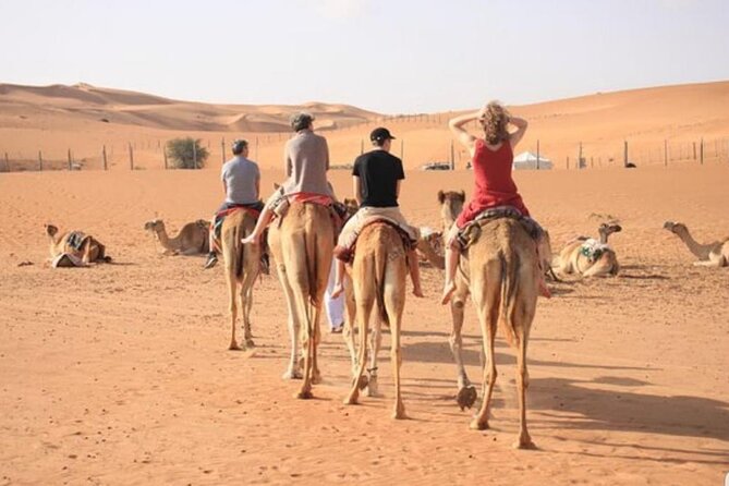 7-8 Hours Private Desert Adventure Trip with Activities - Dune bashing that is thrilling, not extreme