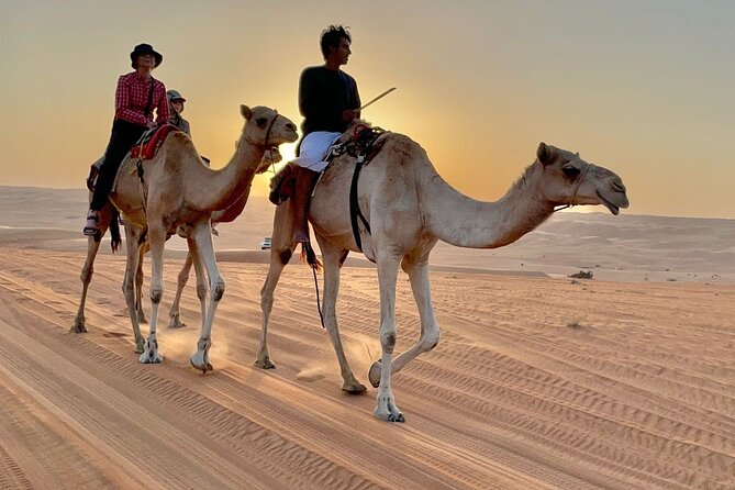 7-8 Hours Private Desert Adventure Trip with Activities - Quad biking across Wahiba Sands