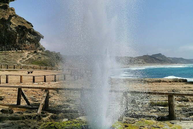8 Hours of Salalah Best: East & West Private Tour - Frankincense trees make the route feel local