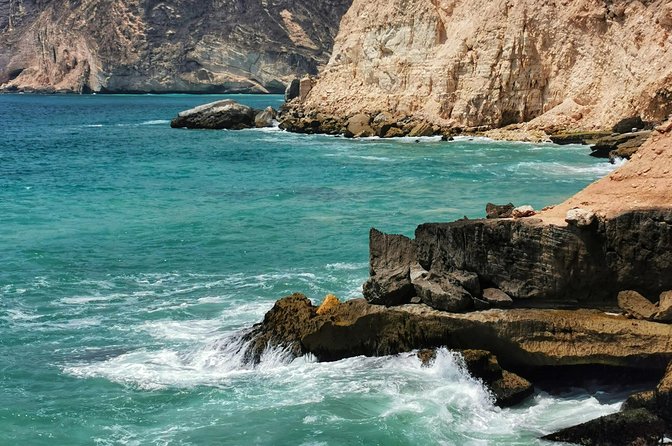 8 Hours of West Salalah Best | Private Tour - Frankincense in its natural setting