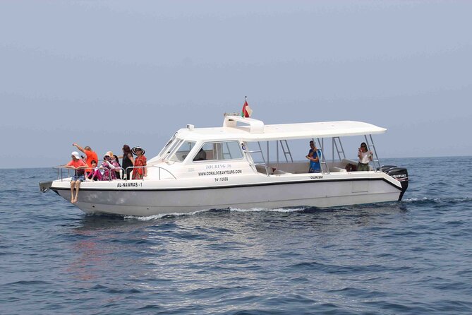 Amazing Dolphin Watching Tour In Muscat - Possible Whale Sharks and Other Marine Life