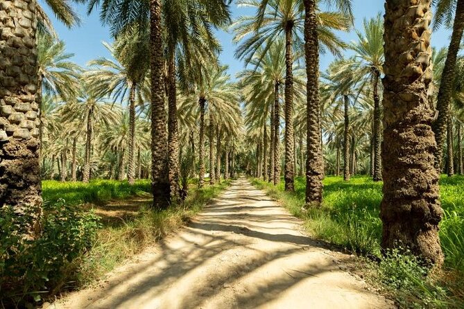 Amouage & Nizwa Full-Day Tour: Fort, Souq & Barakat Al Mouz - The guides make the private format worthwhile