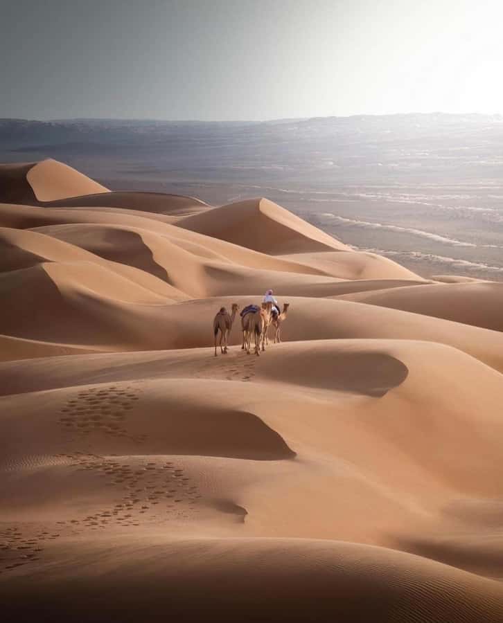 Arabian 1001 Nights - Private Tent Safari Overnight - Ubar, the lost city in the desert