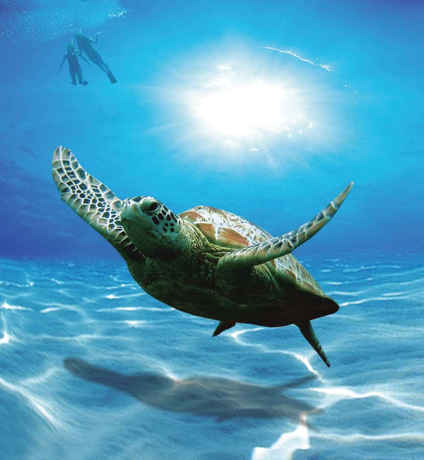 Bandar Al Khayran Jorney: Group Tour with Snorkeling - Key points to know before booking
