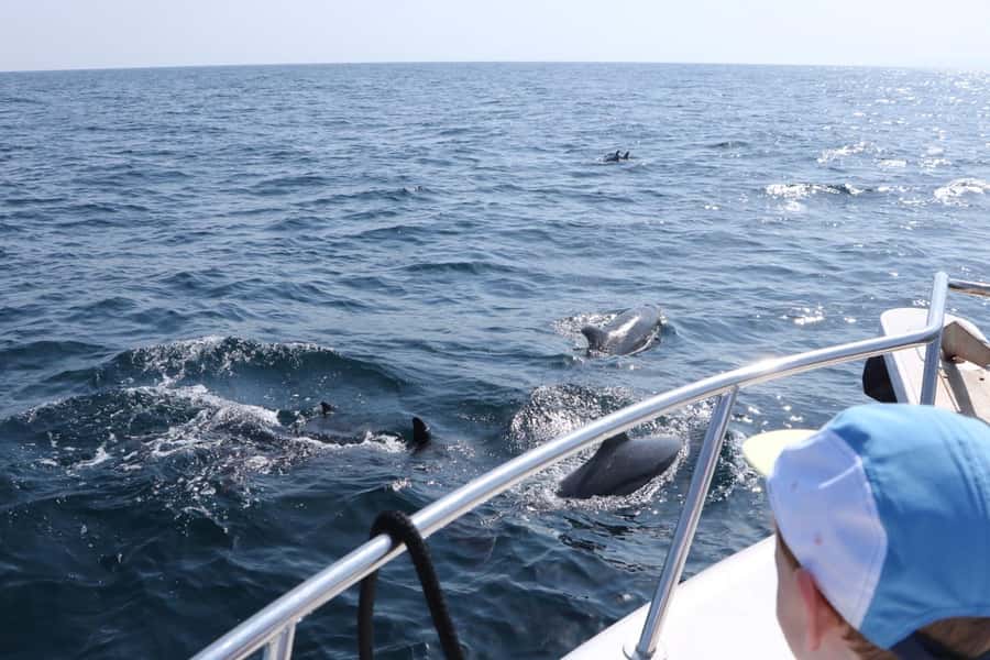 Bandar Al Khayran Jorney: Group Tour with Snorkeling - What makes Bandar Al Khayran special