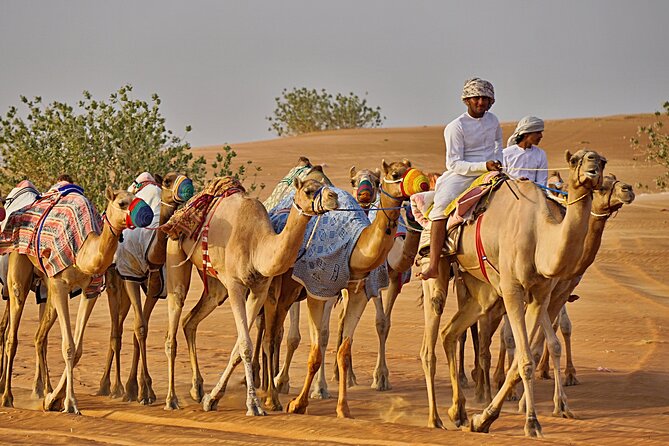 Bediyah: Camel Safari through the Wahiba Sands Desert - Riding through the Wahiba Sands for one hour