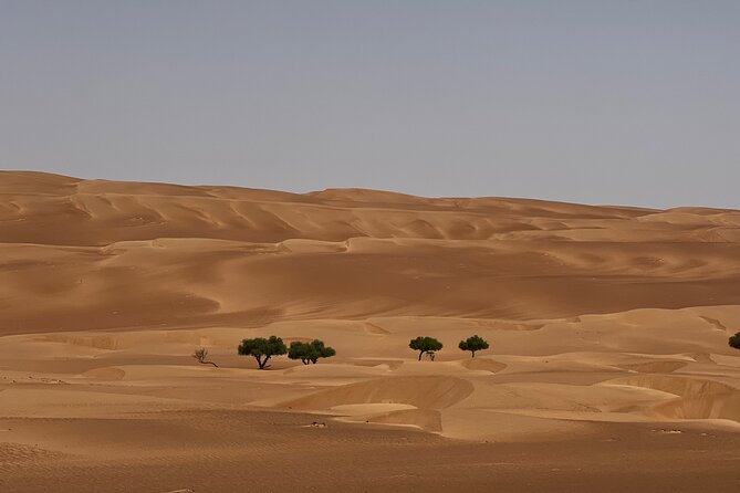 Bediyah: Under the Arabian starry sky - looking at the stars - The Wahiba Sands sunset