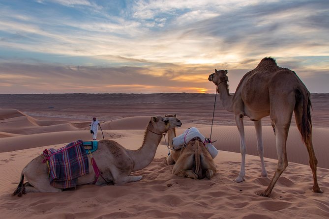 Bediyah: Under the Arabian starry sky - looking at the stars - Arriving at Wahiba Sands from Bediyah