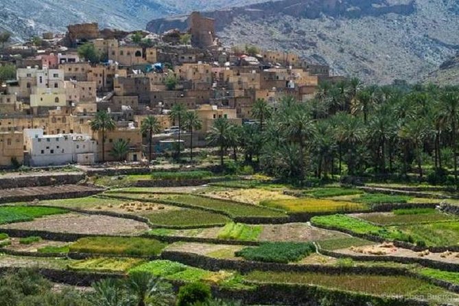 Billad Sayt (Day trip) 4WD :Muscat Tours - Turning toward Wadi Bani Awf