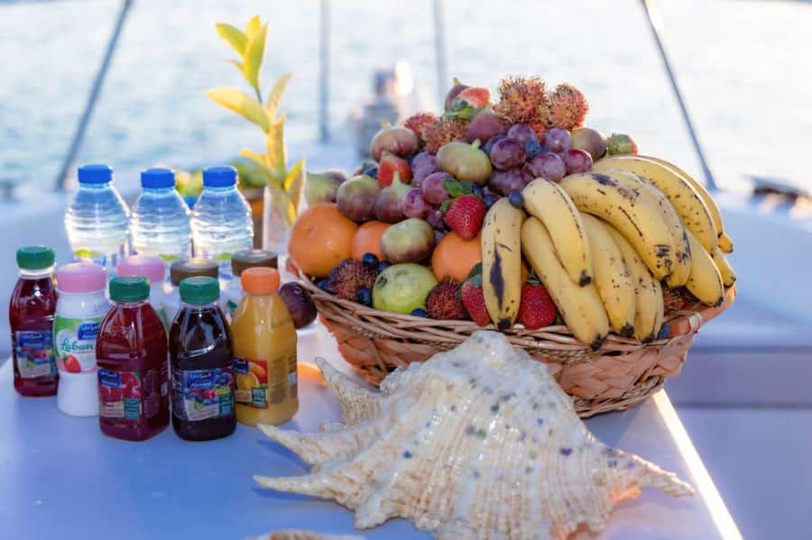 BlueWhale Oman: Swim with Turtles at Dimaniyat Islands - What the $79 price really covers