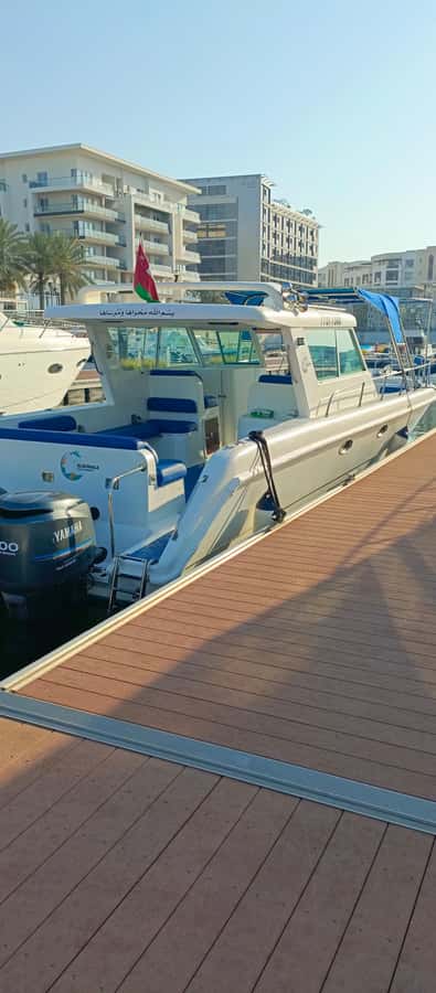 BlueWhale Oman: Swim with Turtles at Dimaniyat Islands - The boat ride to the Dimaniyat Islands