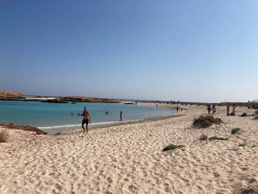 Camping to the Daymaniyat Islands with an overnight stay - Sunset, stars, and possible bioluminescence
