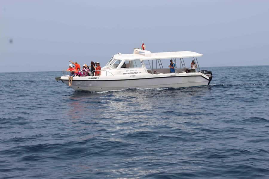 Coastal & Sunset Cruise in Muscat - Key points to know before you book