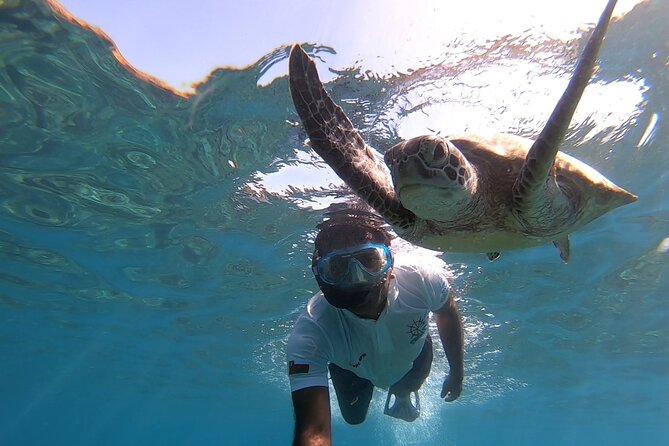 Cruises to Daymaniyat & Snorkeling - Why the Daymaniyat Islands are worth your morning