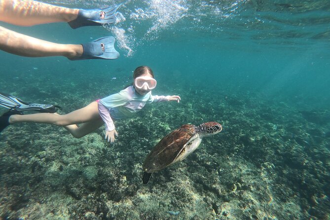 Cruises to Daymaniyat & Snorkeling - Snorkeling with turtles and reef fish
