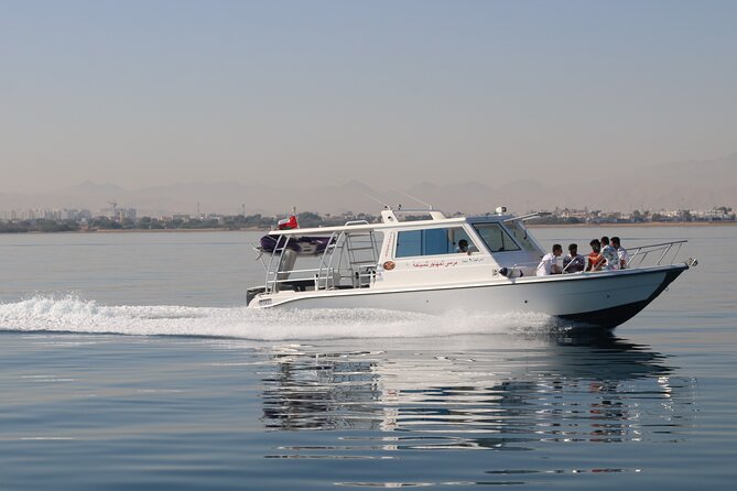 Cruises to Daymaniyat & Snorkeling - Who will enjoy this cruise most?