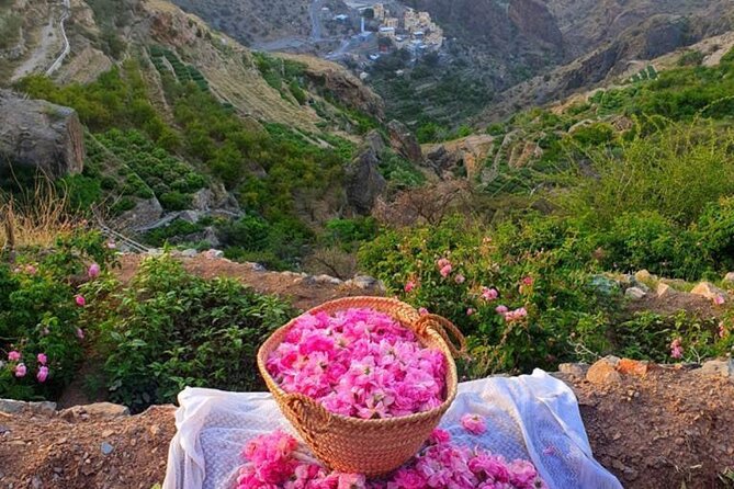 Damascus Roses - Discover the secrets of Al Jabal Al Akhdhar - What makes this Jabal Akhdar trip worth considering