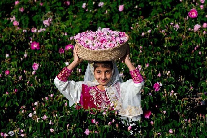 Damascus Roses - Discover the secrets of Al Jabal Al Akhdhar - From Muscat to the high country