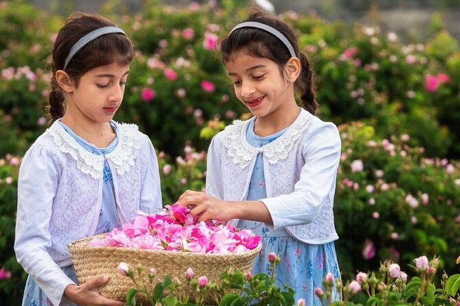 Damascus Roses - Discover the secrets of Al Jabal Al Akhdhar - Watching traditional rose distillation