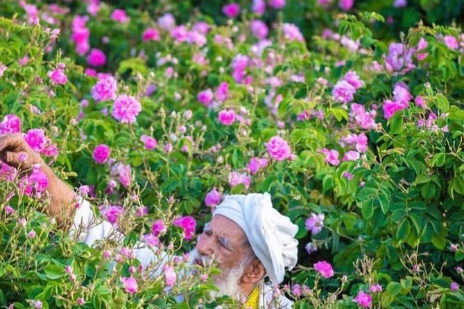 Damascus Roses - Discover the secrets of Al Jabal Al Akhdhar - Who will enjoy this experience most?