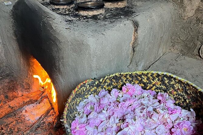 Damascus Roses - Discover the secrets of Al Jabal Al Akhdhar - Damascus roses in Jabal Akhdar