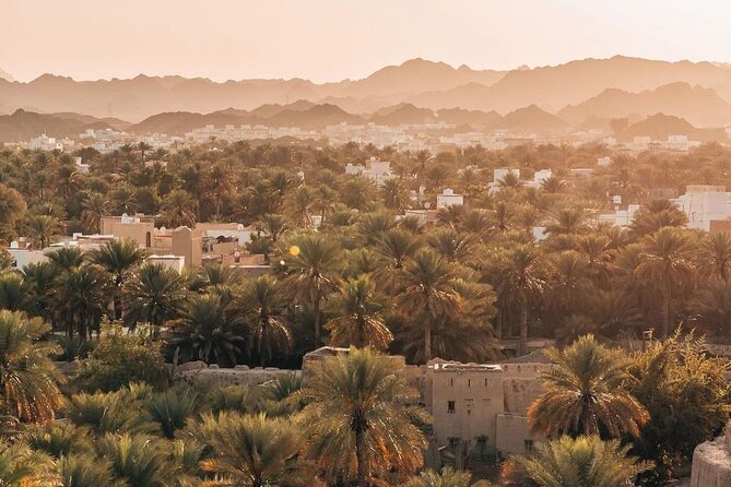 Day Tour to the Enchanting Forts of Nizwa - How much value do you get for $218.52?