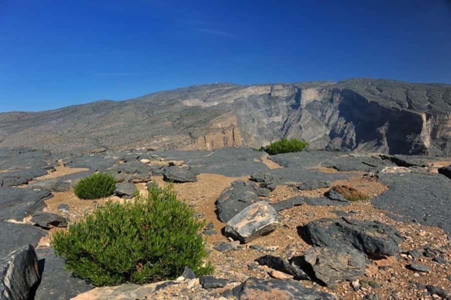 Day Trip to Jabal Shams, Wadi Nakhar, Misfat Al Abriyeen - Reaching Jabal Shams, Oman’s Grand Canyon